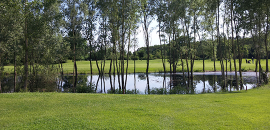 GOLF absolute: Golfpark Bachgrund